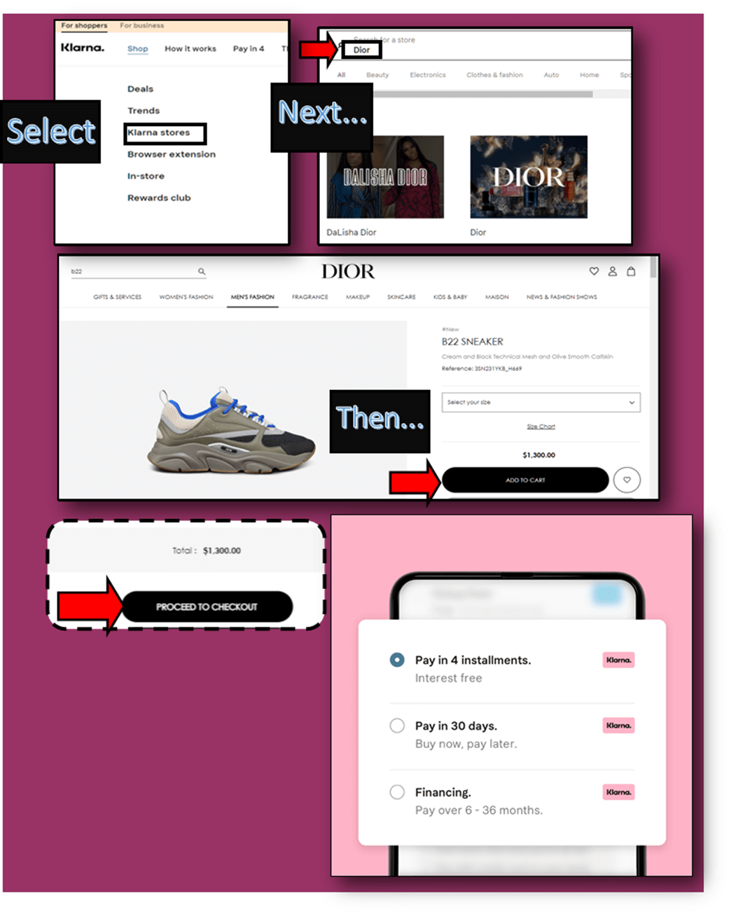 How to Use Klarna to Buy a Dior B22