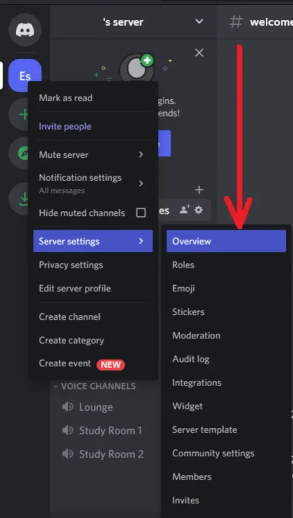 Choose Overview from the sub-dropdown menu