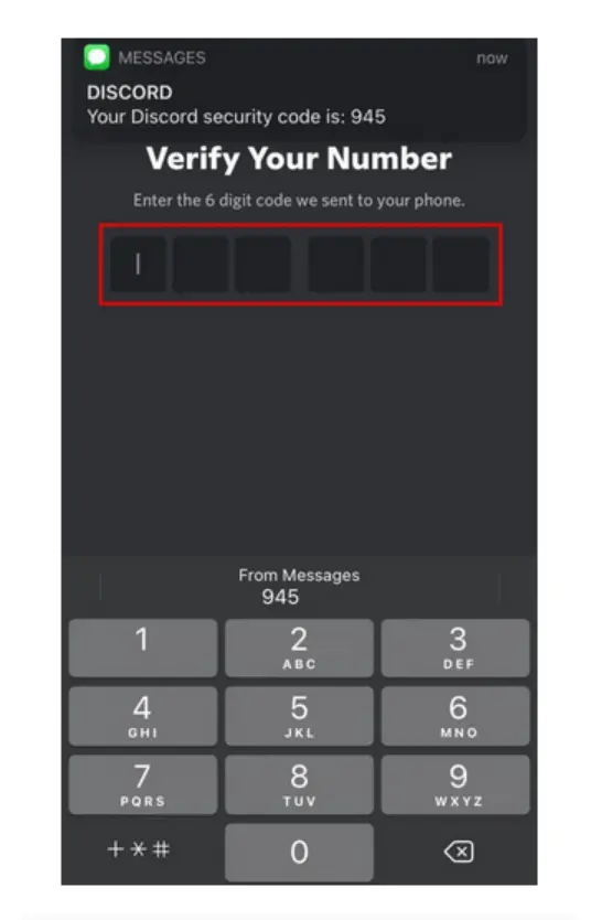 Step 5: Enter verification code