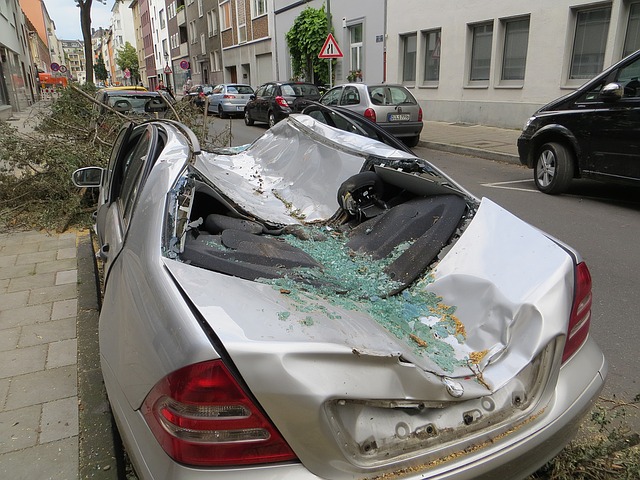 A car wrecked by a tree