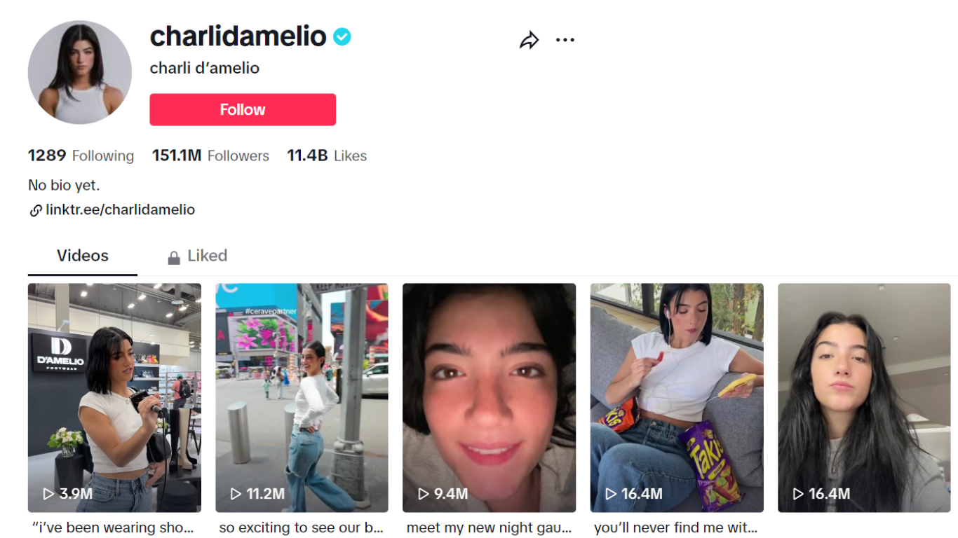 Charlie D' Amelio Tiktok profile